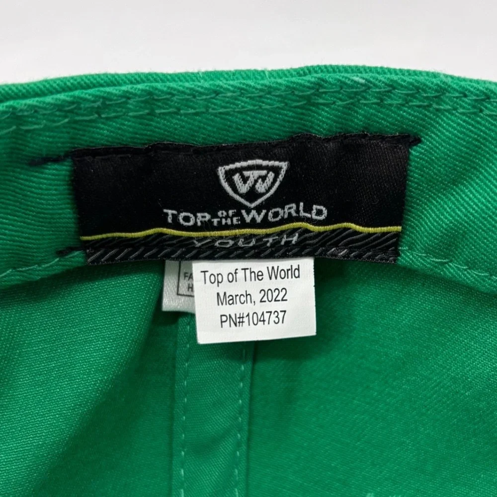 UNT North Texas Mean Green Eagle Cap Youth One Size Green Snapback Embroider NEW